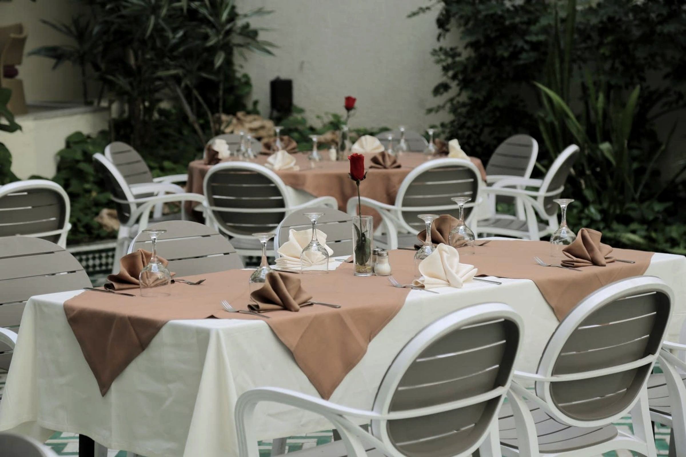 The Patio under its glass roof.