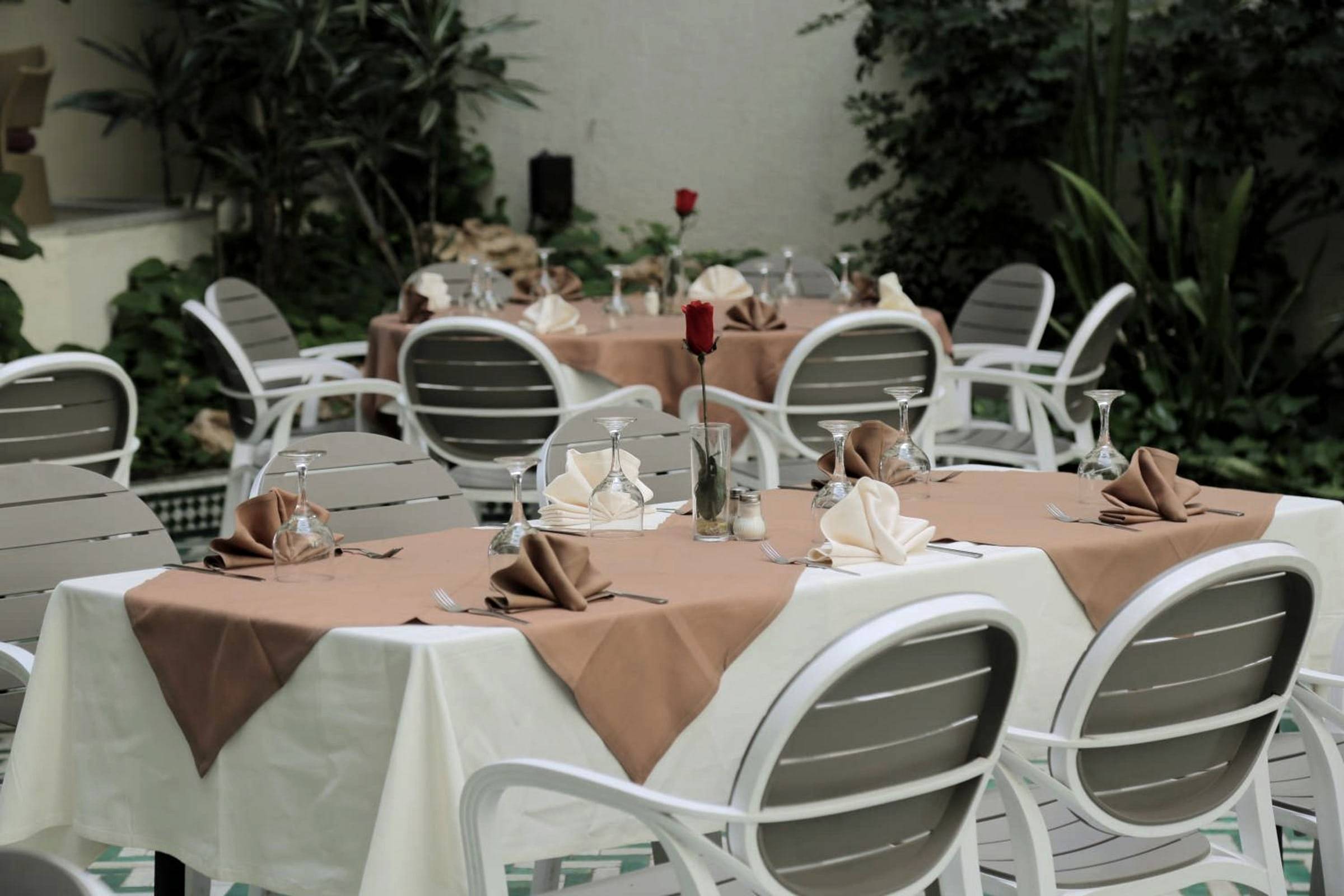 Le Patio — déjeuners sous la verrière.